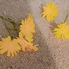 nour.elsayed473