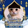 fandyy__24