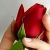 arpan.rai84