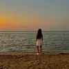 myya0195