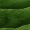 janecalips