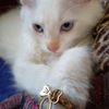 maryam07466