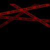 hacker_xx4