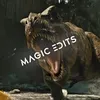 magic_man_am