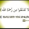 user75192067909574