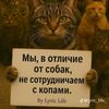 molodoi.korol98