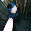 aldy_wlngtn