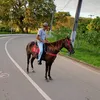 alexandre.santana000