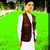 mahidi.elham