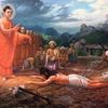 htwe2534