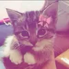 kiki_k3108