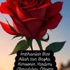 ugur.ibrahimbeyli