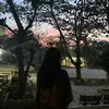tdbum10