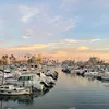 Yara_travel