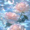 user7768147611231