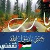 user2321990733007