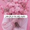 user46946853051100