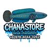 chanastore.com