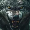 wolfs.eye0