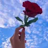 guli_surr01