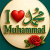 313.shoaib7