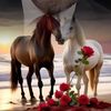 user9316824046139
