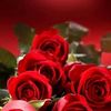 mahmoud.abdullah.a