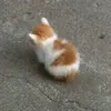 x0_x34