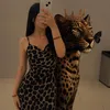 fatima_sa16