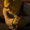 Shrek💀