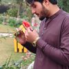 rehmankhan54583
