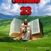 valdemira716