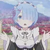 rem_2february