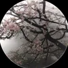 yimsiwanfanaccount