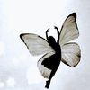 butterfly78624
