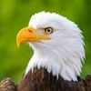 abdelkerim.bechir8