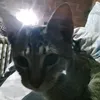 octavio_nose