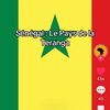 safiatra8