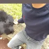 noureddine_exe12