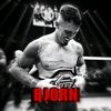 bjorn.ufc