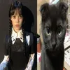 deadbynecropsy