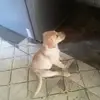 giselle.zurita4