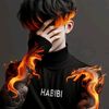 habibie959
