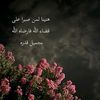 user28032677453973
