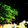 wegah_waras097