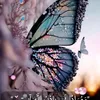 samah.hassan961