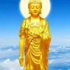 phandinh.minhvuon