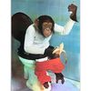 the.monkey.in.the8