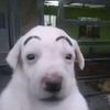 copito_clips