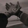 kelebek_2852